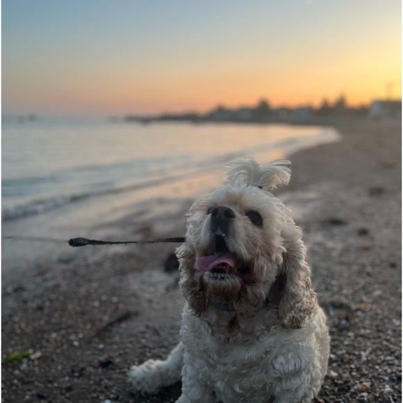 Meet the Posher Other - Meet your Posher, Mekella